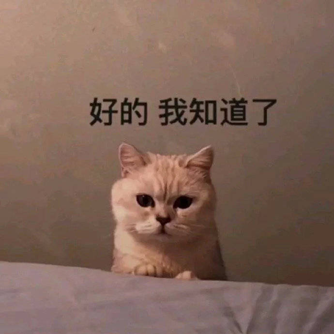 取卵后,医生却告诉我“没卵用”?
