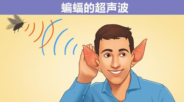 假如人类拥有了9种动物特征,可能会比超人更加厉害!