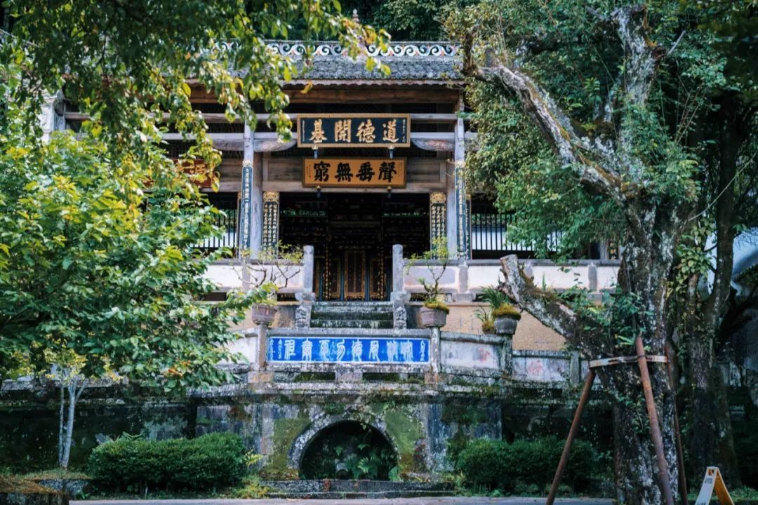 西双版纳|赏银杏泡温泉，这个边陲小镇才是秋冬顶流！