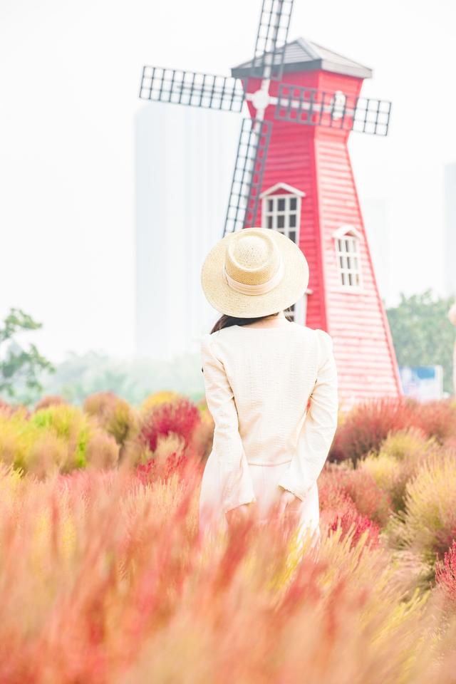 马鞍山森林公园|去东湖前请注意!部分景区需提前一天预约