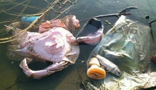 江苏省|钓鱼人有什么钓不到? 江苏一钓友钓鱼意外钩到溺亡老人, 算什么水平