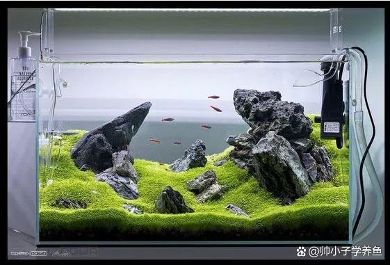 新手小白开缸造景前材料整理