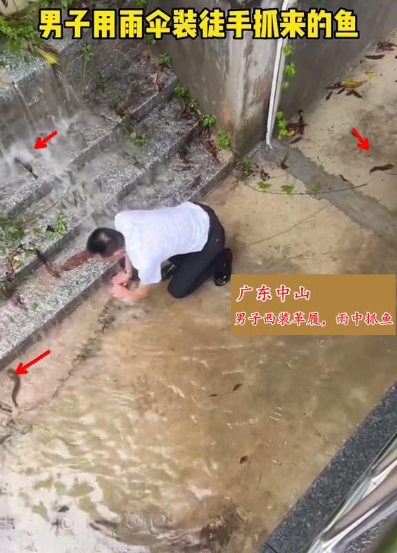 中山男子西装革履却在雨中淡定捕鱼走红,网友:这种快乐不常有