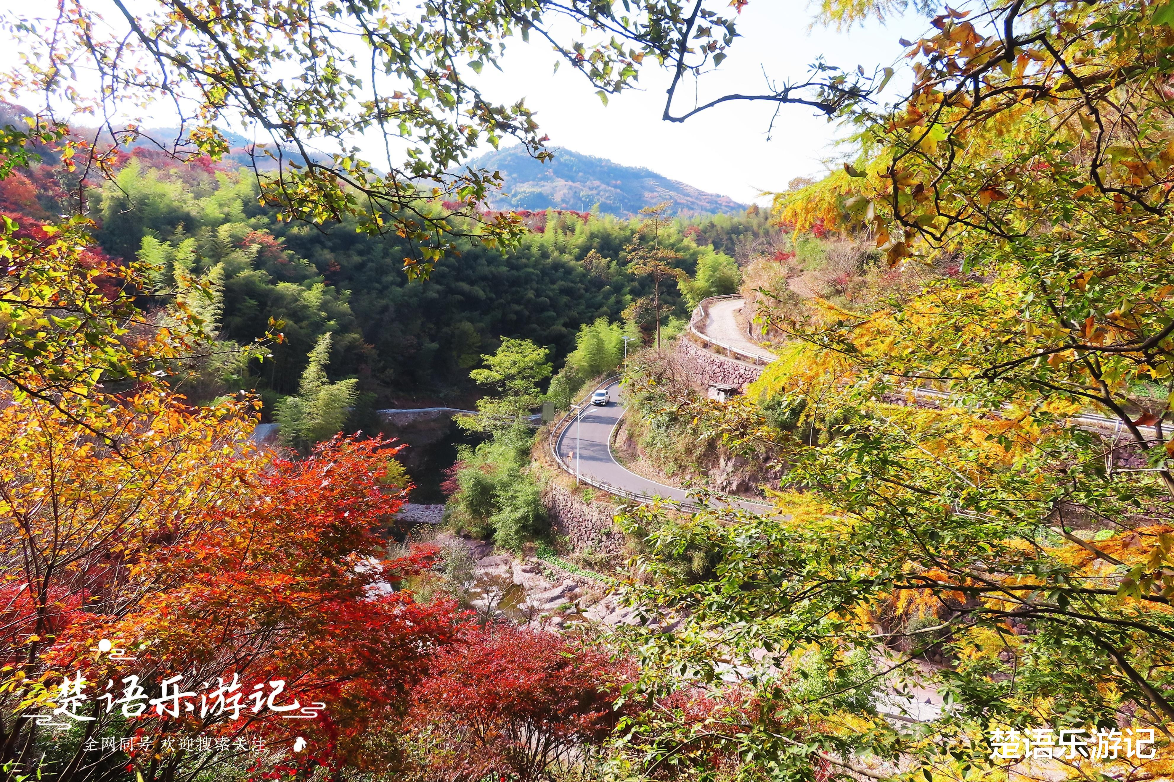 |浙江四明山迎来最美秋色，层林尽染美如画，这几条线路更有看头