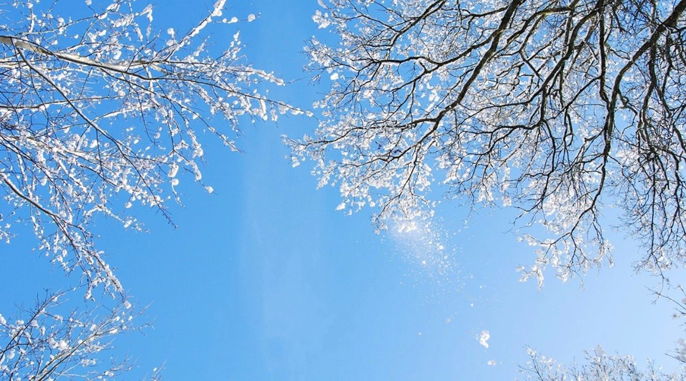 程序员|糟糕的程序员比优秀的程序员差在哪里？