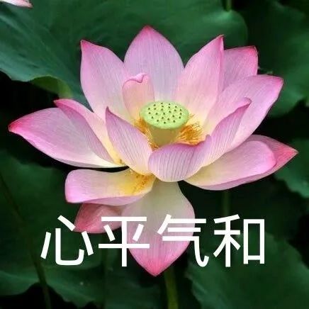 牙齿|心脑血管病越来越多,哪些因素对血管不利?保护血管的方法请收下