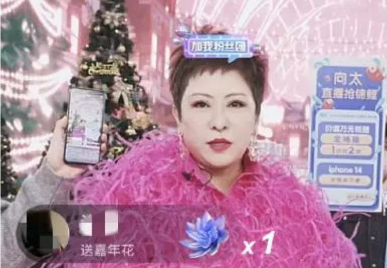 向太|让爱新觉罗兰一举“翻身”的直播产业，为何向太入门即“翻车”