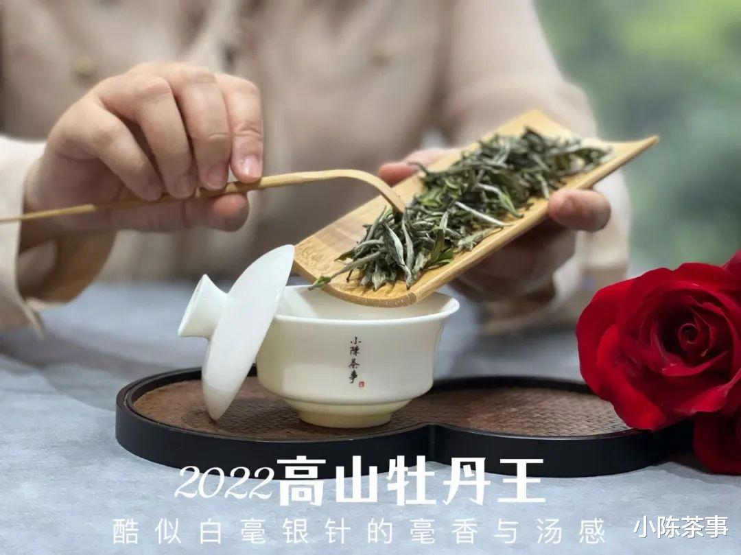 碱性食物|喝茶需要很专业吗？普通茶客喝茶，到底需要了解哪些干货？