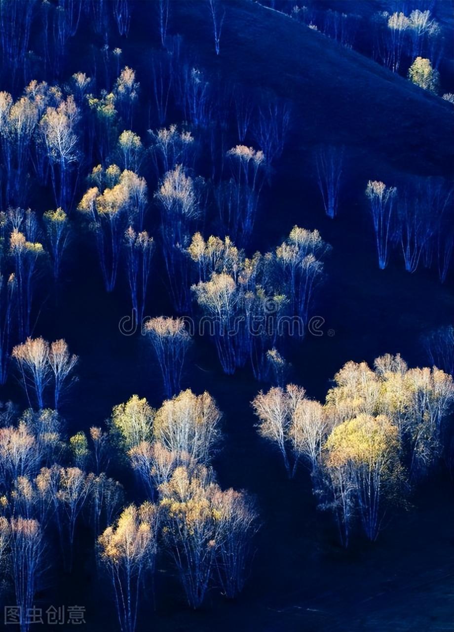 |郭进拴|绝美的坝上