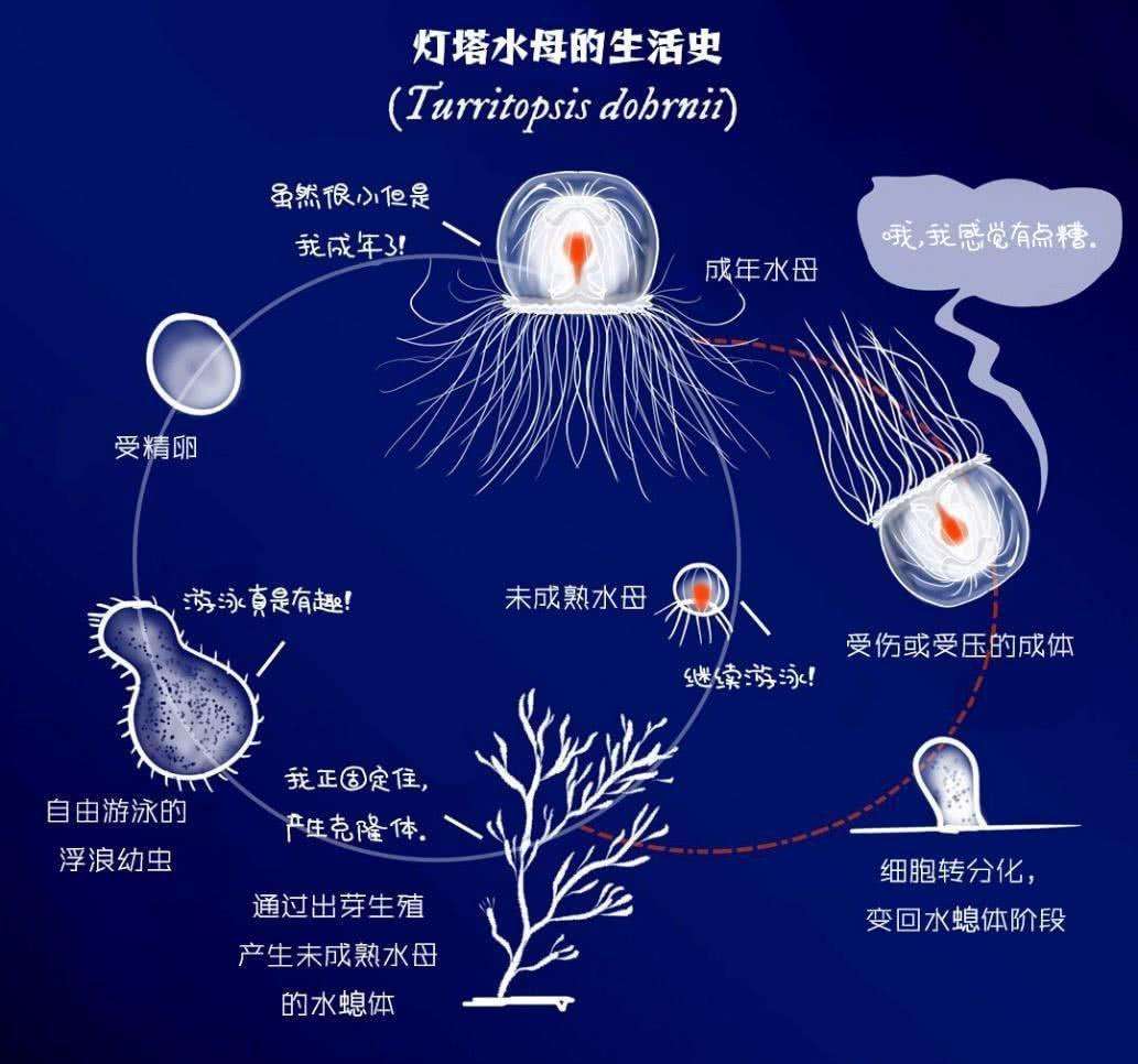 人类是否能永生?你知道你还能活多久?看人类平均寿命就知道
