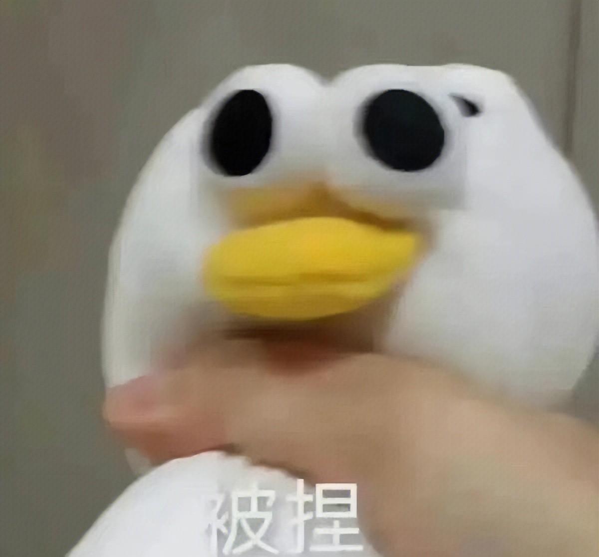 金泰亨|金智妮和金泰亨在卫生间私密照曝光，女生上公共厕所有多危险？