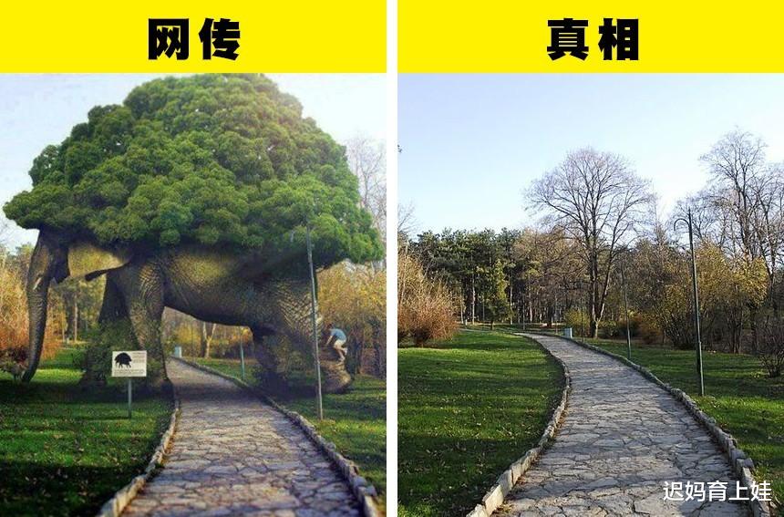 江波|在互联网世界，曾欺骗无数人的7个事实