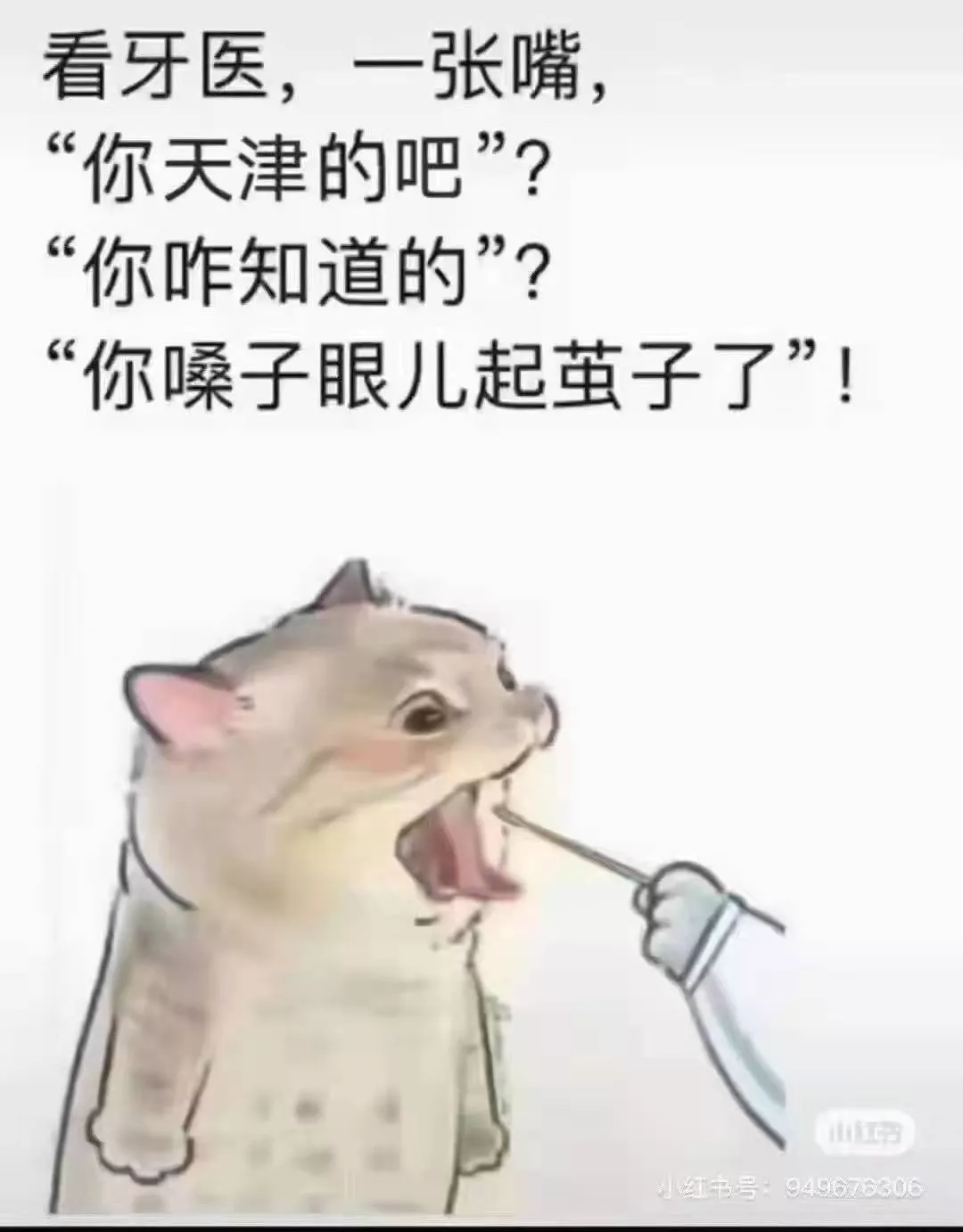 住房公积金|疫情之下，打破唯价格论 预见天津楼市未来趋势