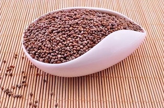 失眠|老烟民?咳嗽痰多气管堵?一个中成药,给你的肺做个大扫除