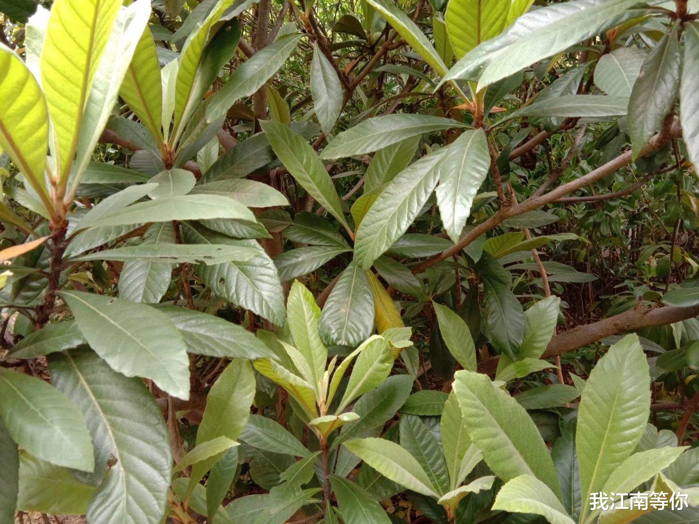 首尔|62岁老头不断招聘女秘书，每个女秘书都怀孕打胎