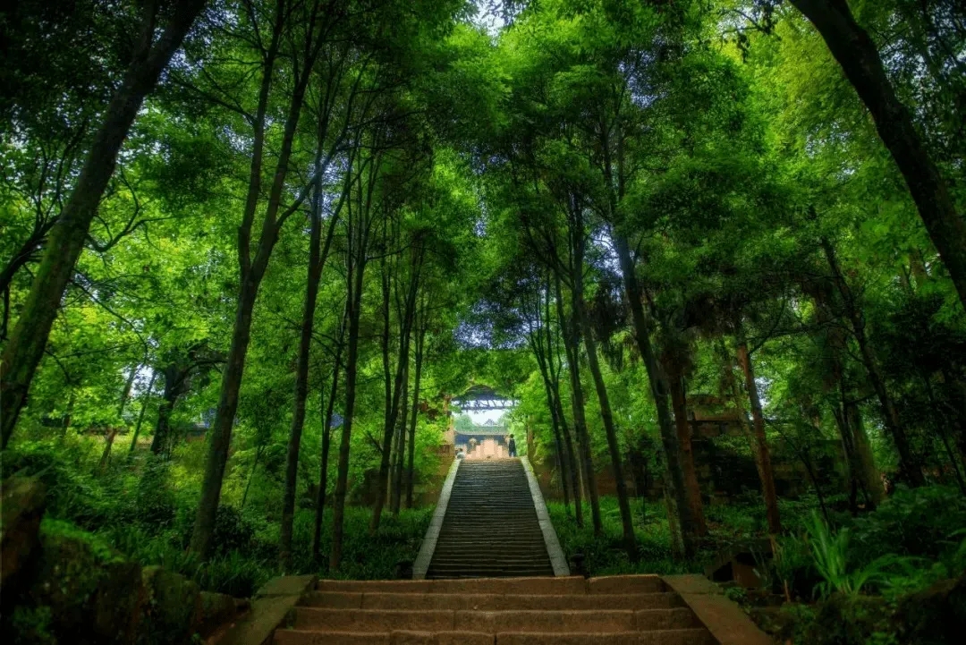 自驾|中国四大道教名山之一，是成都十景之一，海拔高1260米