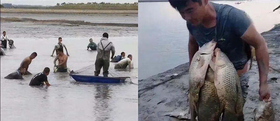 安徽湖泊水位大降!出现万人抓鱼的场面,鱼会被抓完吗?