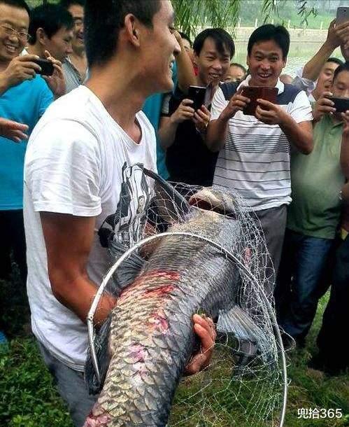 |女子罕见钓获野生大鳜鱼,钓点连老公都不告诉,原因让人哭笑不得