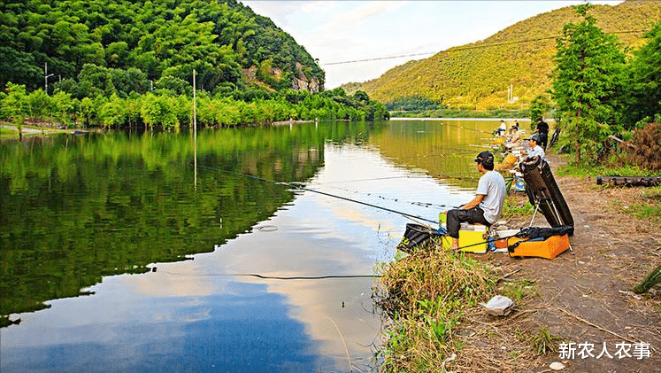 制服|男子沉迷于钓鱼不顾家,媳妇只用一招就将其制服,网友:这主意好