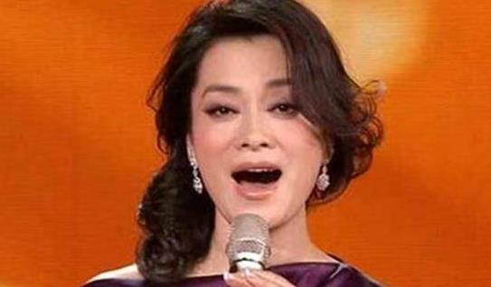 毛阿敏|毛阿敏之女解佳桐:父亲留下260亿的遗产, 也无法弥补母亲心中的痛