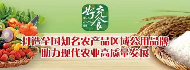 南充|南充：3月9日起执行！为期4个月