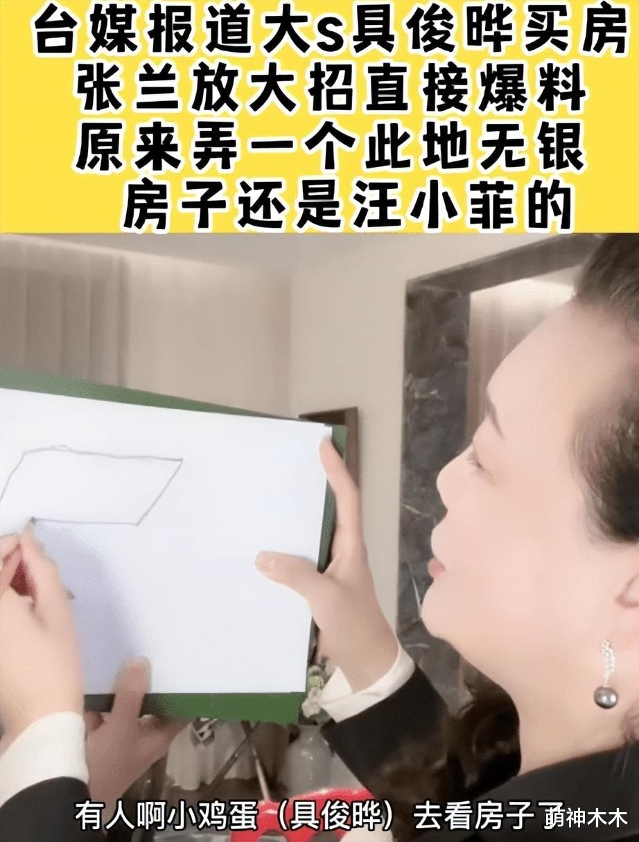 张颖颖|张颖颖否认网传截图，怒斥造谣者恶意P图，汪小菲火速评论力挺