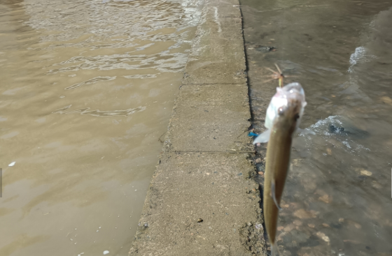 |穷人不配钓鱼?没钱就不能钓鱼么?钓鱼运动不能只是有钱人的运动