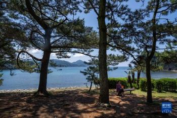 旅行团|伊豆半岛掠影「图」