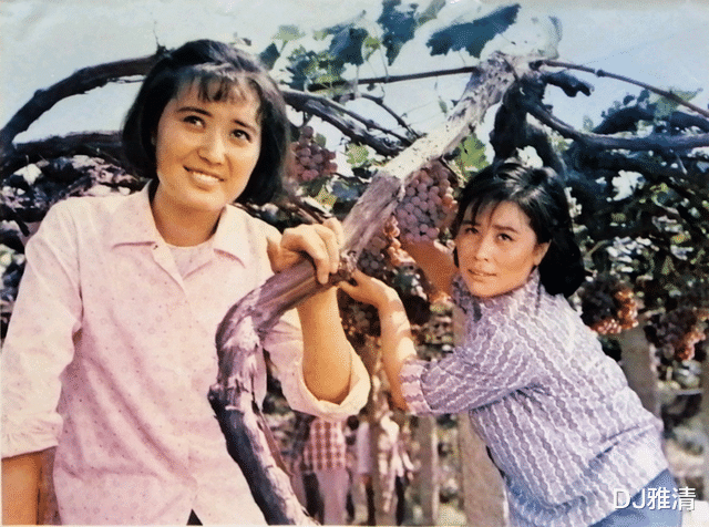 80年代|农村电影要这样拍，怎会没人看？80年代十部农村片，部部是经典，成了标杆