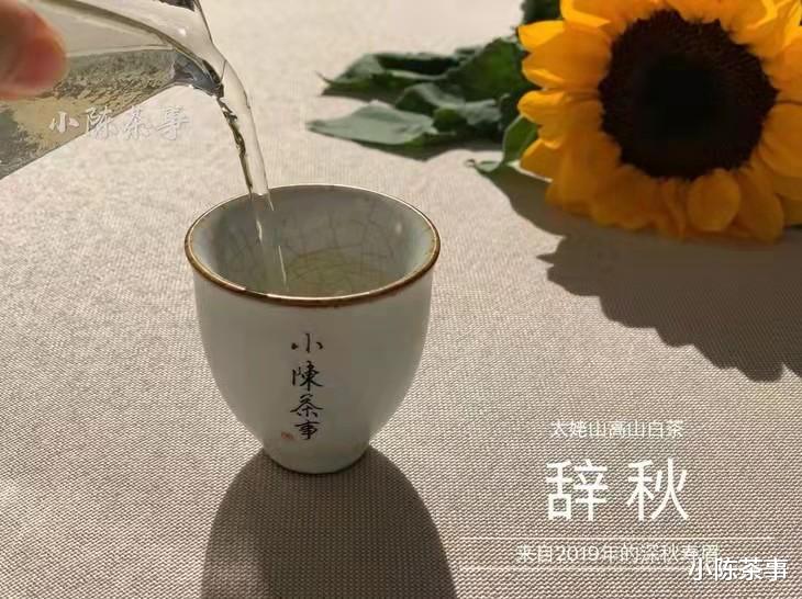 2013年的老寿眉饼，汤色红，有点甜，为什么老白茶这么像红茶？