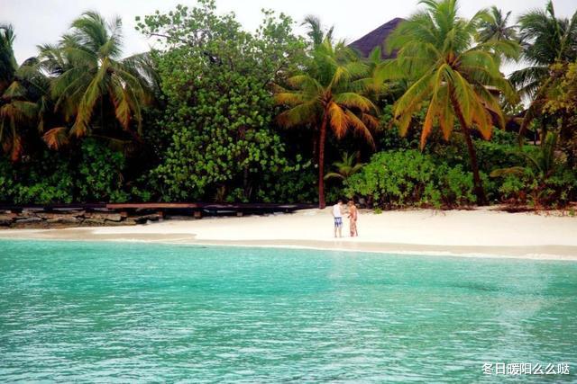 |让人一看就忍不住放松的乡村种田文,远离城市的喧嚣,走进大自然中