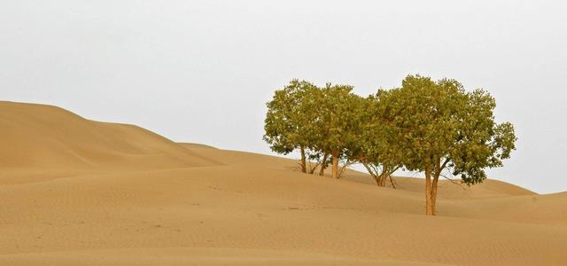 撒哈拉有多深?最底下究竟是什么?