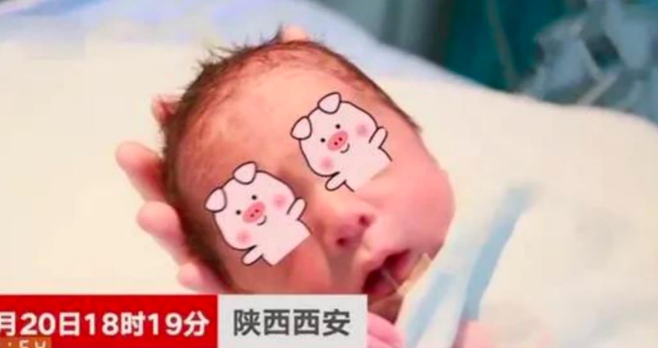 外婆的子宫孕育外孙!2015年,女子移植母亲子宫,4年后生下男婴