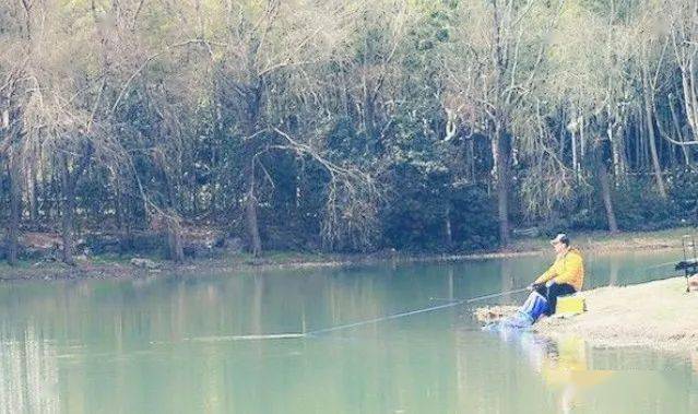 |初春钓鱼“七个小”，连杆大鲫不空跑