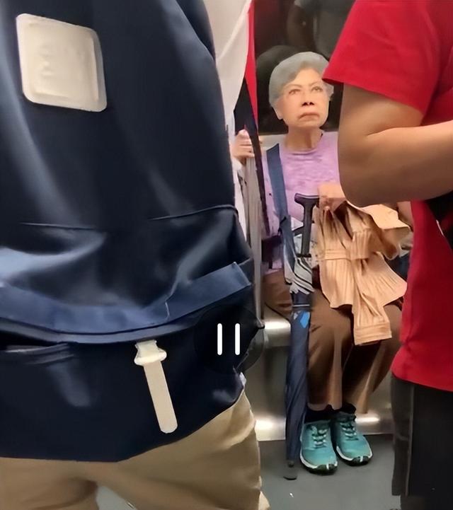 潘虹|“无子女”演员晚年现状,潘虹皈依佛门,傅丽莉花60万养狗为伴