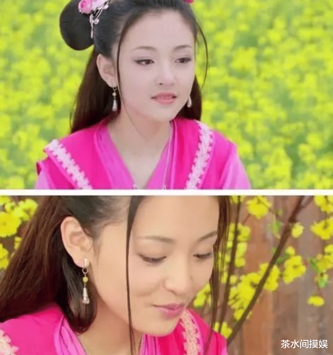 校花|娱乐圈红过的校花遍地跑,有人离婚,有人变笑话,混出头的没几个