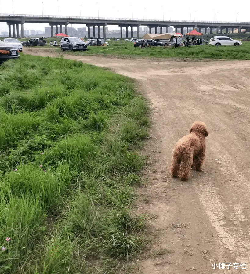 又一被“北京中产”吹捧的网红翻车,戳穿了对年轻人最残忍的骗局