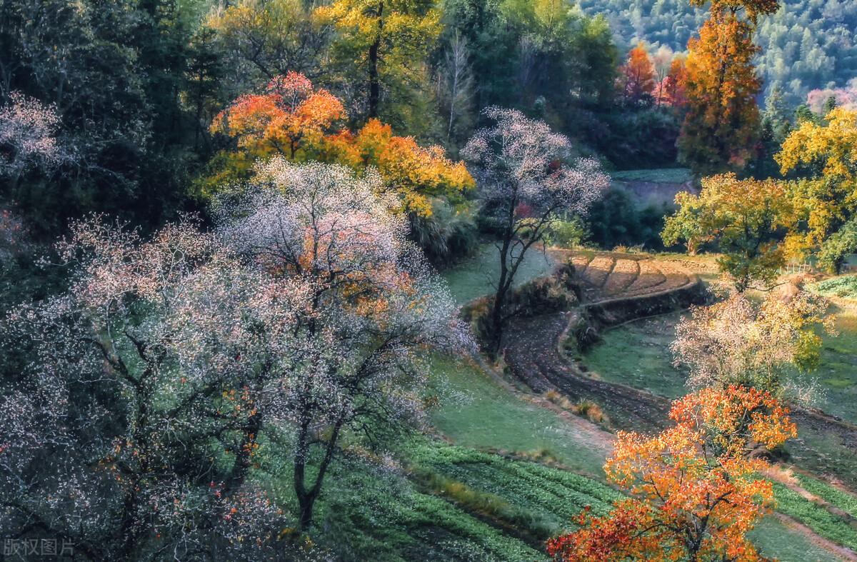 怀化|15个天气气候景观地，日月星辰风花雪月，个个绝美，你想去哪个？