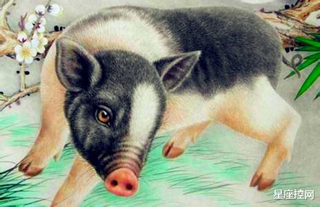 阜阳|一生中多数会走好运的三个生肖,衣食住行很顺利,婚恋事业没烦恼