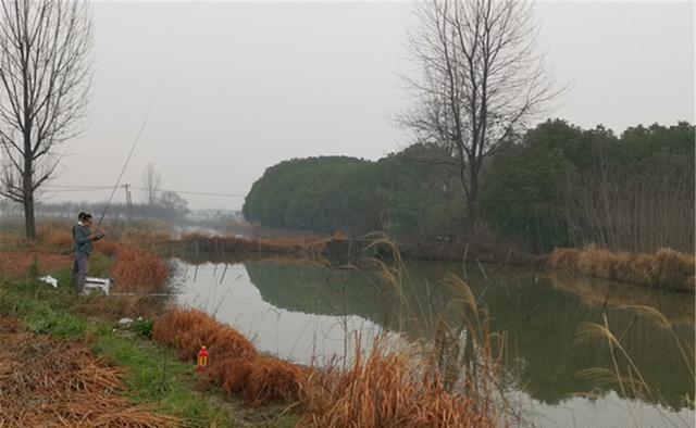 |渔乐杂谈：深秋钓鱼，钓法要跟着节气走，注意这些变化规律