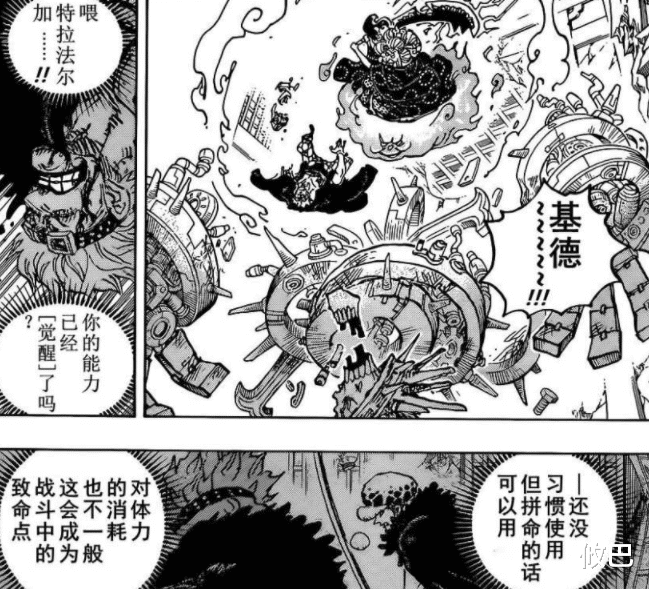 路飞|情报师判断不严谨,1037话神秘果实不能排除橡胶,路飞或将觉醒