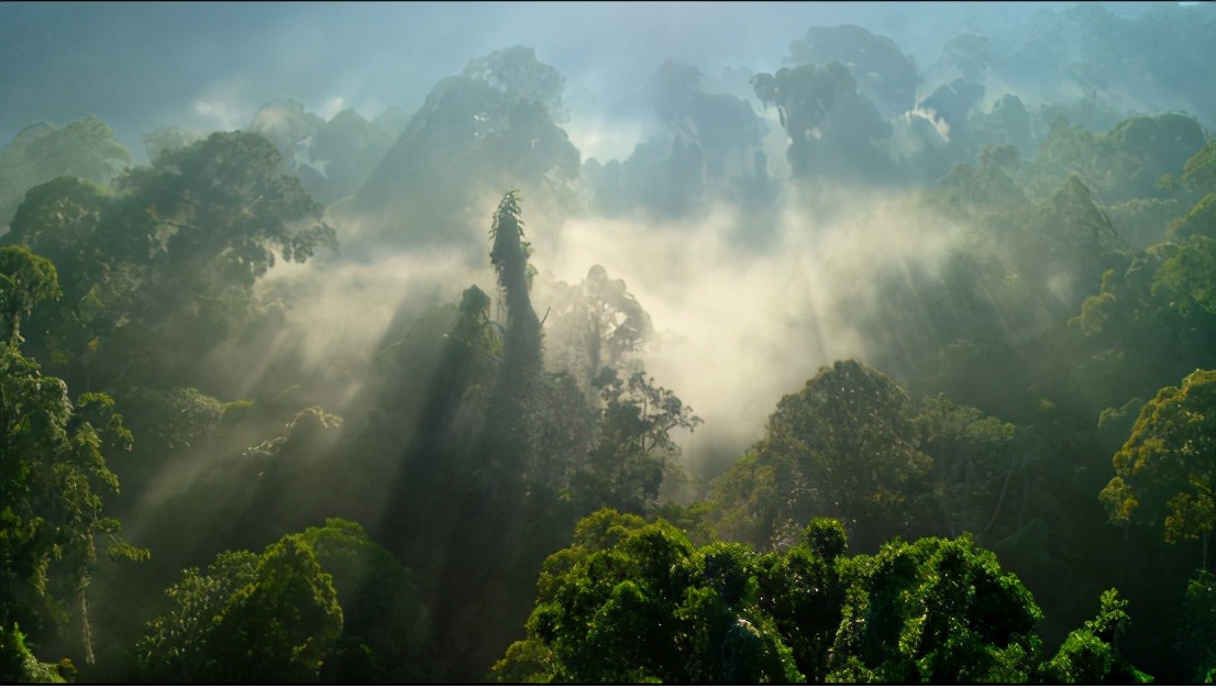 《大卫·爱登堡：地球上的一段生命旅程》：人类，请善待自然