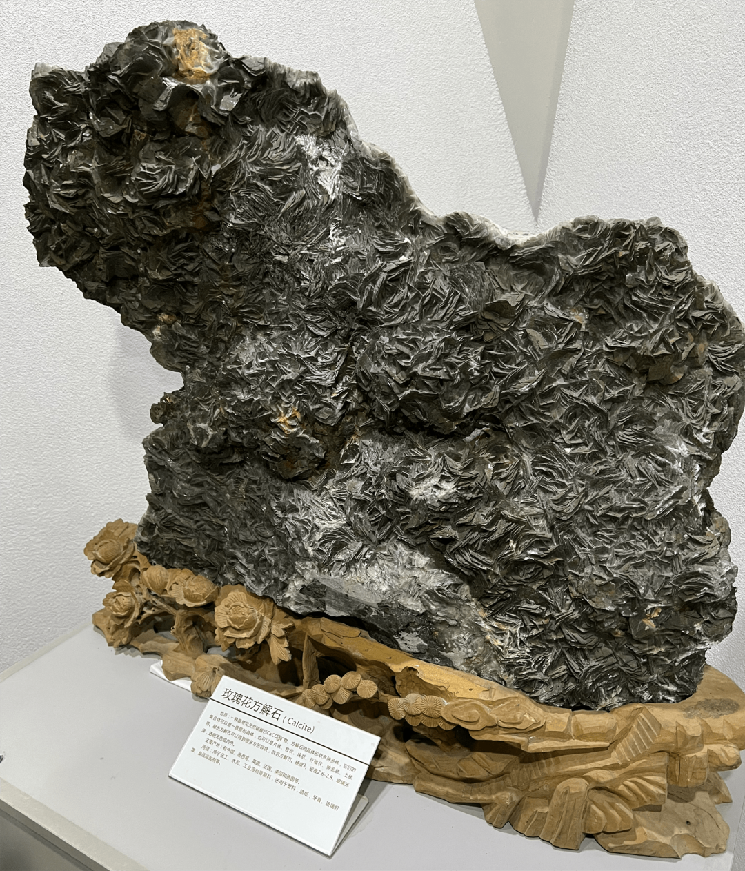 【一阳带你看世界】探访亚洲唯一建立在冰川遗迹上的自然博物馆