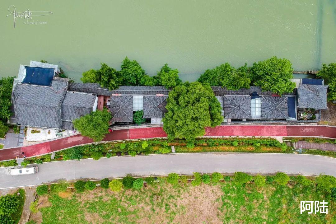 |邂逅马金溪畔汉唐香府，最让我惊艳的竟然这种长势茂密的流氓植物