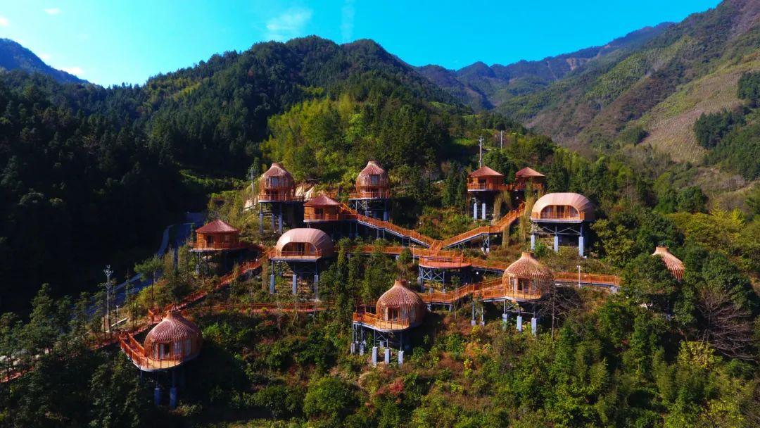 身份证|初冬，这里超萌！