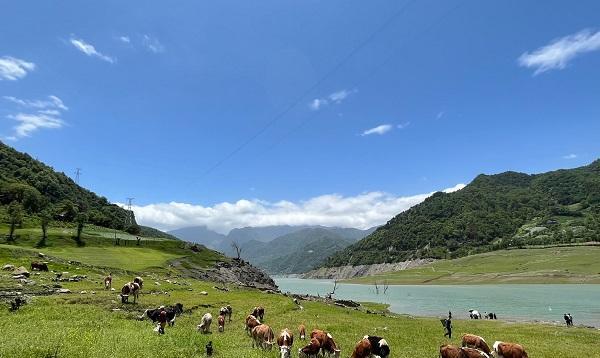 四川省|四川又一避暑胜地走红，风格小众景色讨喜，网友：确实不错