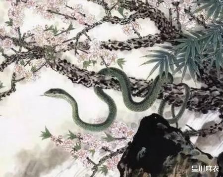 属蛇|属蛇生在几月善于应变，2023年福禄不缺，富贵亨通，靠自己轻松赚钱