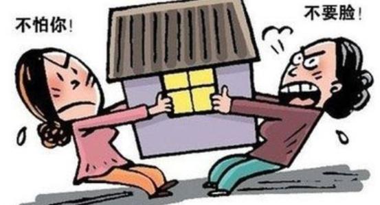 5位老人霸占侄女房子,将侄女婿打进医院,直言:怪她太自私