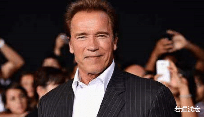 阿诺德·施瓦辛格|施瓦辛格三个儿子：老大颜值高老二胖成熊私生子成“复刻版”