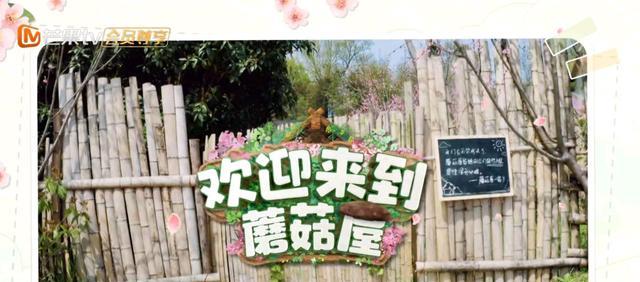 黄磊|《欢迎来到蘑菇屋》首播：07届快男重聚，无何炅黄磊，衍生综艺